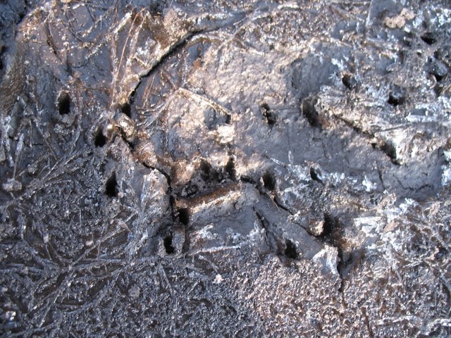 2007 02 Sortie traces 38